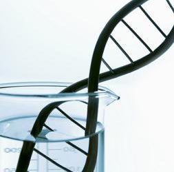 Active Materials and Molecular Technology