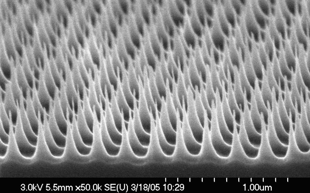 Nanoengineering and Fabrication of Intelligent Devices that can Shape the Future