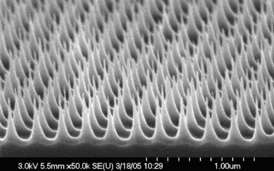 Nanoengineering and Fabrication of Intelligent Devices that can Shape the Future