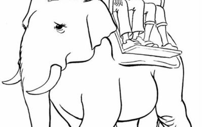 The Art of Riding an Elephant