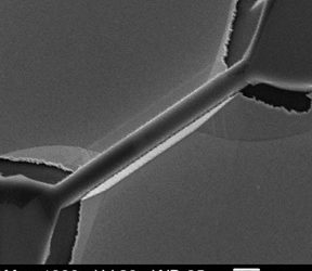 Experimental Workshop on Scanning Electron Microscopy and X-Ray Diffraction