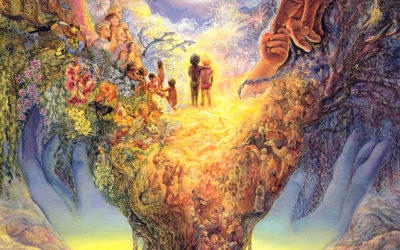 Wonders of the Universe