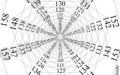 Prime Numbers