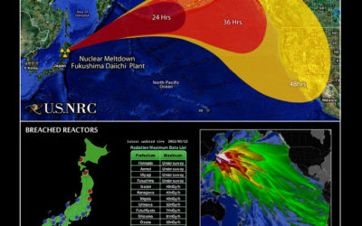 The Japanese nuclear emergency