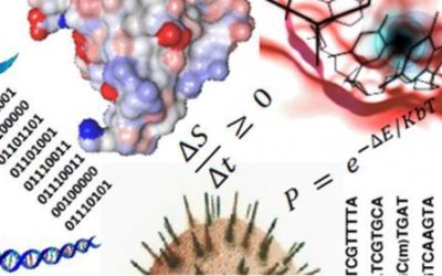 Investigating Multiscale Tumorigenesis by using agent based modelling approach