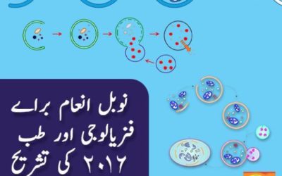 Nobel Prize in Physiology/Medicine 2016