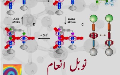 Explaining the Nobel Prize in Chemistry 2016